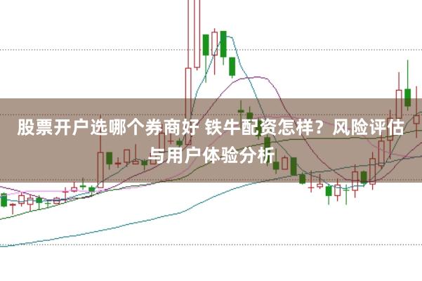 股票开户选哪个券商好 铁牛配资怎样？风险评估与用户体验分析