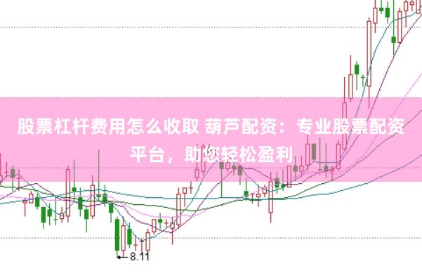 股票杠杆费用怎么收取 葫芦配资：专业股票配资平台，助您轻松盈利