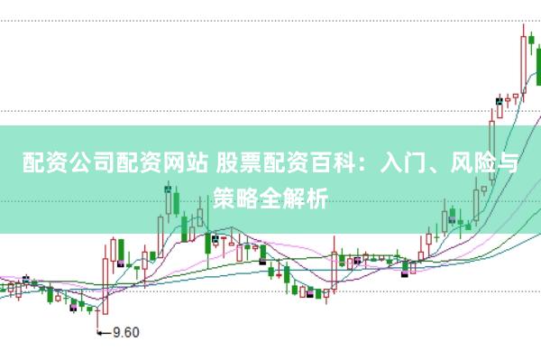 配资公司配资网站 股票配资百科：入门、风险与策略全解析
