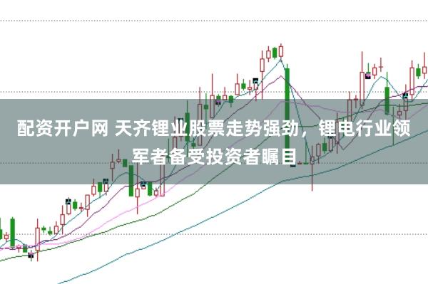 配资开户网 天齐锂业股票走势强劲，锂电行业领军者备受投资者瞩目