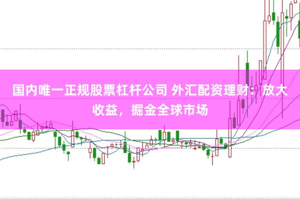 国内唯一正规股票杠杆公司 外汇配资理财：放大收益，掘金全球市场