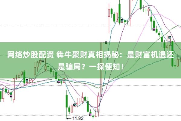 网络炒股配资 犇牛聚财真相揭秘：是财富机遇还是骗局？一探便知！