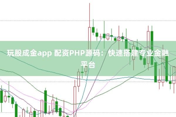 玩股成金app 配资PHP源码：快速搭建专业金融平台