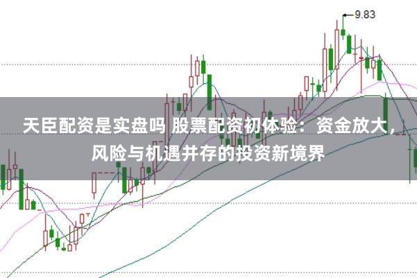 天臣配资是实盘吗 股票配资初体验：资金放大，风险与机遇并存的投资新境界