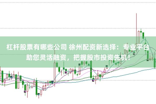 杠杆股票有哪些公司 徐州配资新选择：专业平台助您灵活融资，把握股市投资先机！