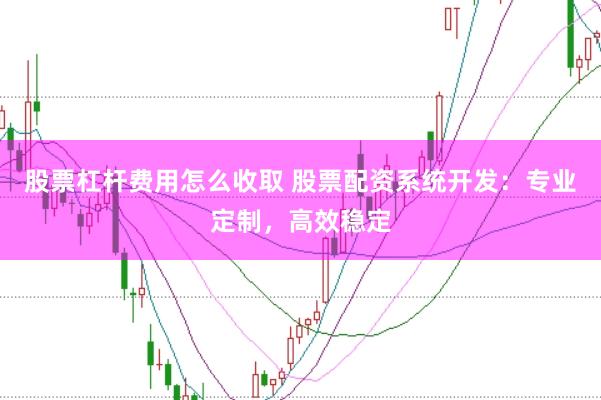 股票杠杆费用怎么收取 股票配资系统开发：专业定制，高效稳定