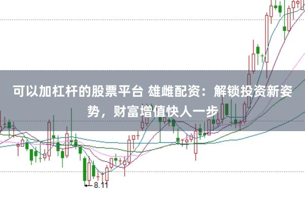 可以加杠杆的股票平台 雄雌配资：解锁投资新姿势，财富增值快人一步