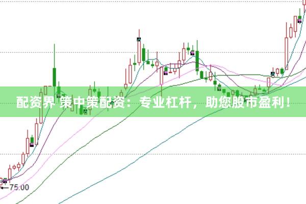 配资界 策中策配资：专业杠杆，助您股市盈利！