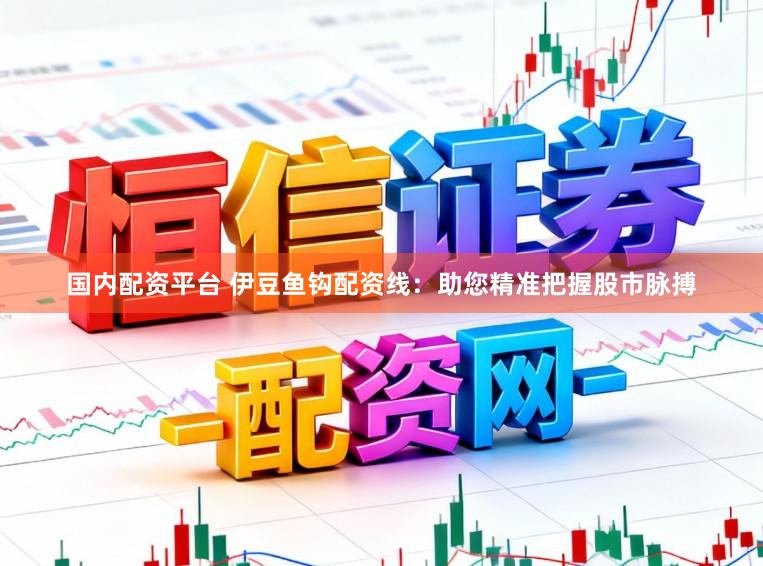 国内配资平台 伊豆鱼钩配资线：助您精准把握股市脉搏