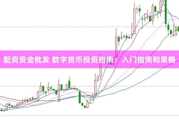 配资资金批发 数字货币投资指南:入门指南和策略