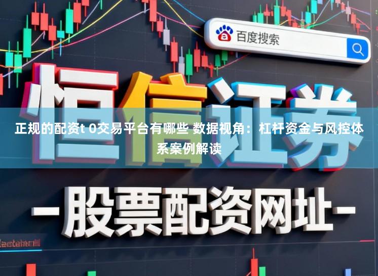 正规的配资t 0交易平台有哪些 数据视角：杠杆资金与风控体系案例解读
